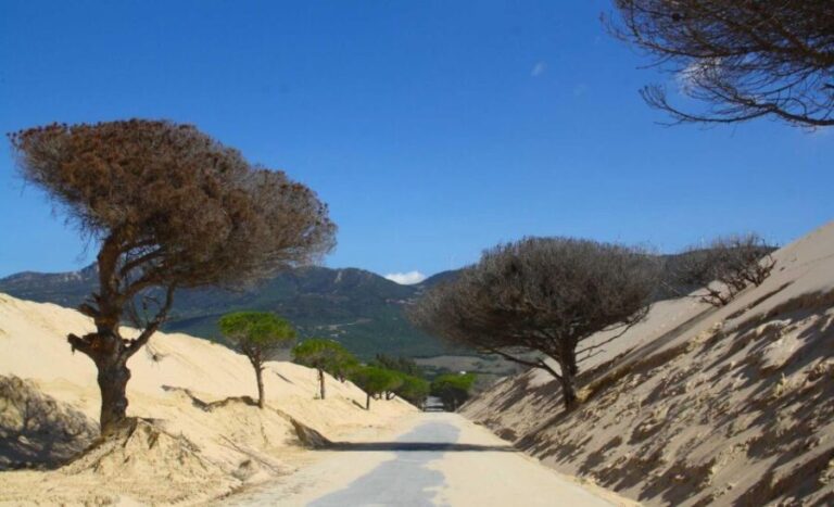 Tarifa: Ebike Rental Ruta del Estrecho - Practicalities & Tips