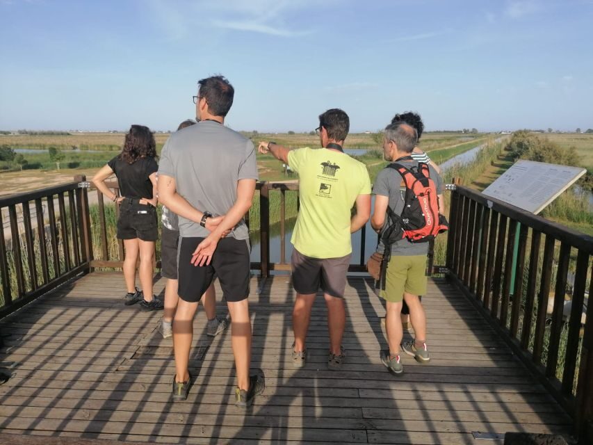 Tarragona: Southern Delta Birdwatching Private Tour - What’s Included and What to Bring