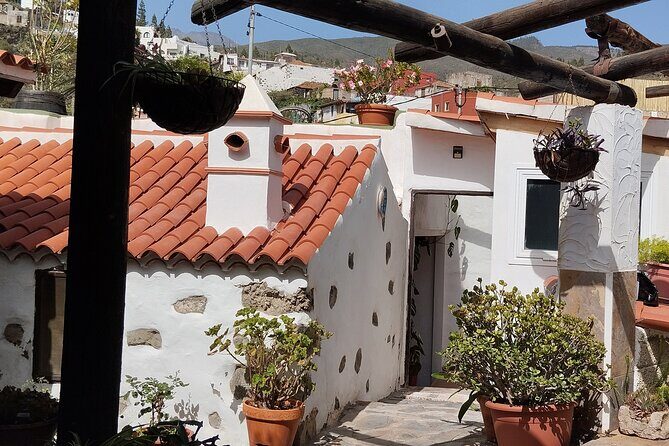 Taste Journey in an Ancient Canarian Village - The Value of This Experience
