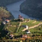 Taste the Douro - Vintage Experience - The Sum Up: Why This Tour Stands Out