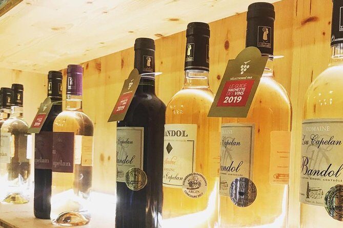 Tasting Bandol Wines & Visit of Cellar (in English) - Why the Price is Just Right