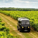 Tasting Bourgoin Cognac the real winegrower's cognac - Who Will Appreciate This Experience?