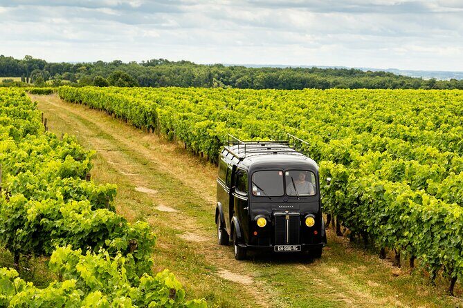 Tasting Bourgoin Cognac the real winegrower's cognac - Who Will Appreciate This Experience?