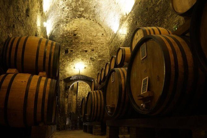 Tasting Tour in One of The Most Beautiful Cellars in the World - Who Should Consider This Tour?