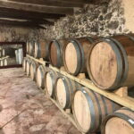tasting wines in the vineyards with hotel pickup hotel - Who Would Enjoy This Tour?