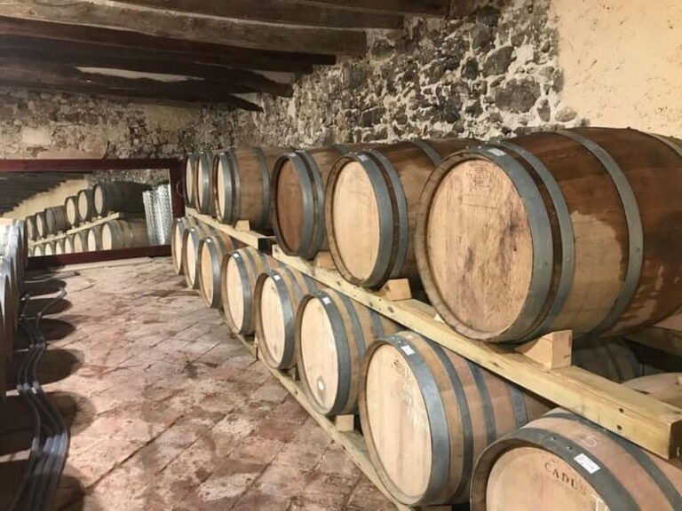 tasting wines in the vineyards with hotel pickup hotel - Who Would Enjoy This Tour?