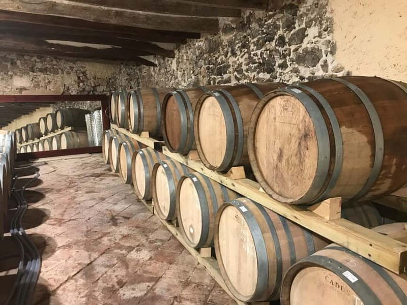 tasting wines in the vineyards with hotel pickup hotel - Who Would Enjoy This Tour?