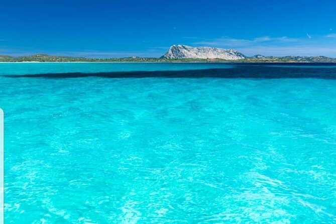 Tavolara Boat Tour and Snorkeling - The Sum Up: Who Will Love This Tour?