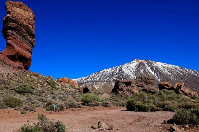 Teide National Park Full Experience with Professional Guide - A Deep Dive into the Teide National Park Full Experience