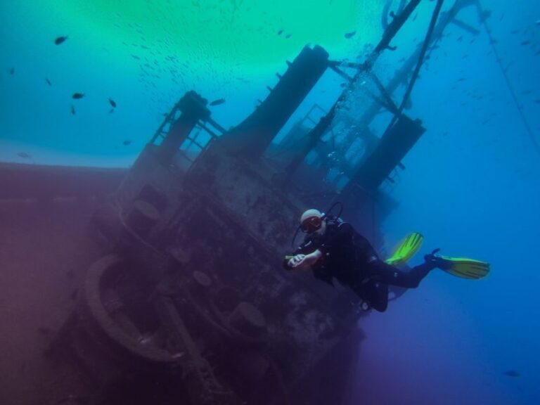 Tenerife: 2 Diving Sessions for Certified Divers - Why We Think This Tour Is a Great Choice