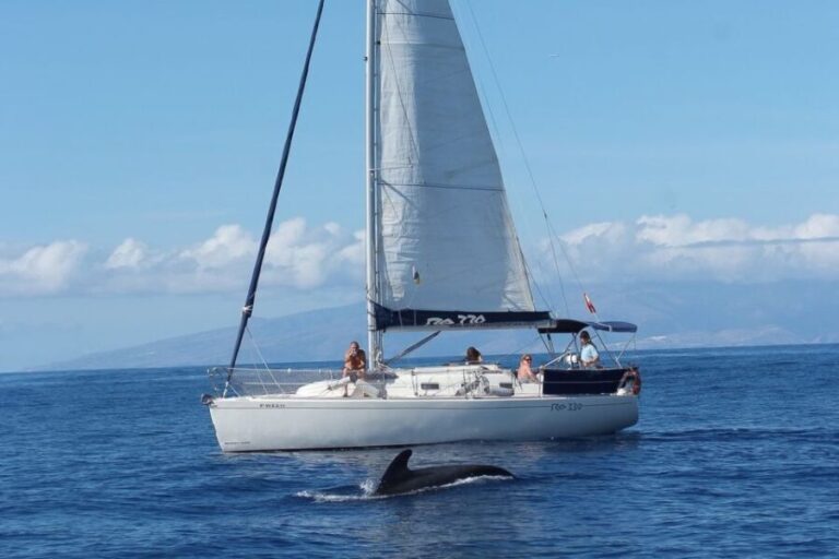 Tenerife: 3 &-6 Hour Private Whale & Dolphin Watching - The Practicalities