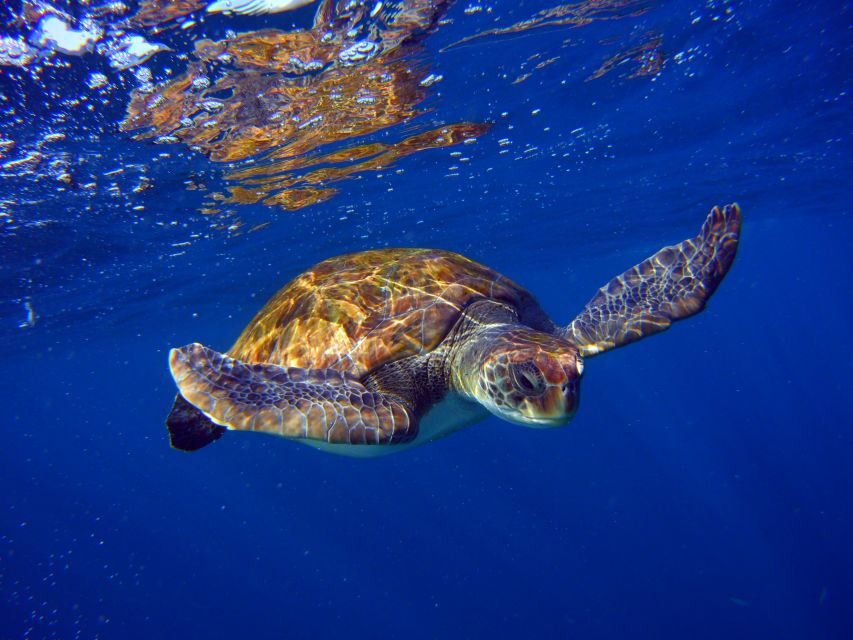Tenerife: 3-Day Open Water Scuba Diver Course - Practical Details