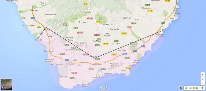 Tenerife Airport Transfer from South Airport (Reina Sofia) to South Area Hotels - Summary of What Travelers Can Expect