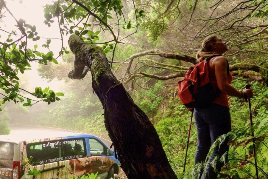 Tenerife: Anaga Rural Park Private Tour - Why This Tour Stands Out