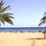 Tenerife: Anaga UNESCO VIP TOUR - The Value of a Guided Small-Group Tour