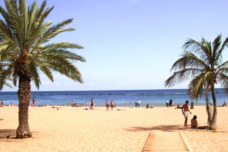 Tenerife: Anaga UNESCO VIP TOUR - The Value of a Guided Small-Group Tour