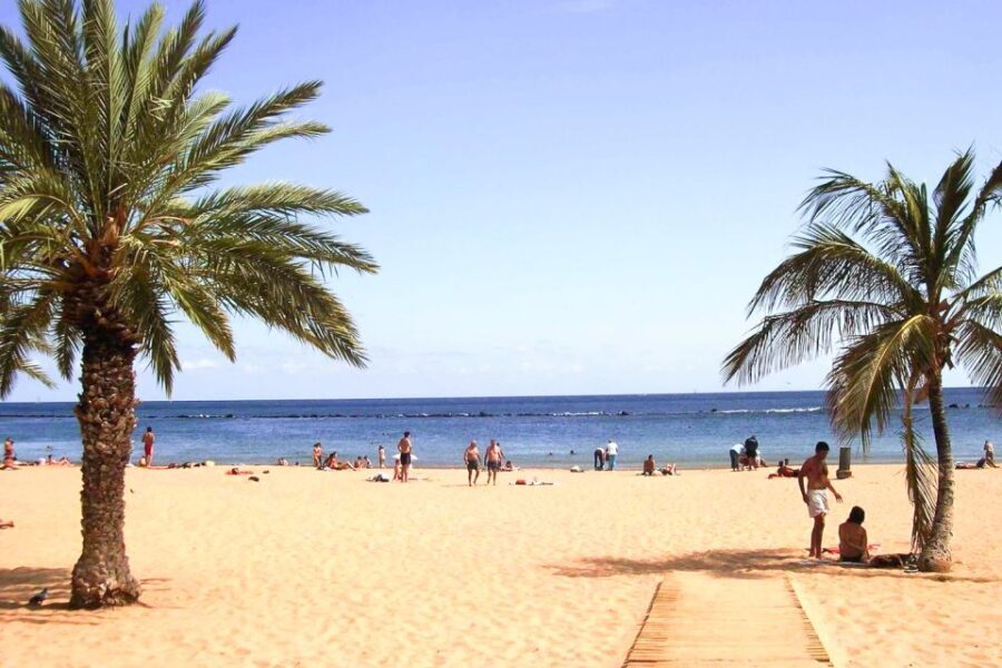 Tenerife: Anaga UNESCO VIP TOUR - The Value of a Guided Small-Group Tour