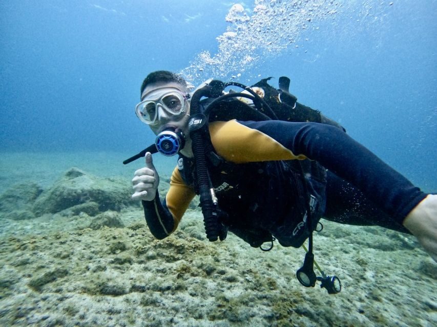 Tenerife: Beginner's Dive at a Spot with Turtle Sightings - FAQ
