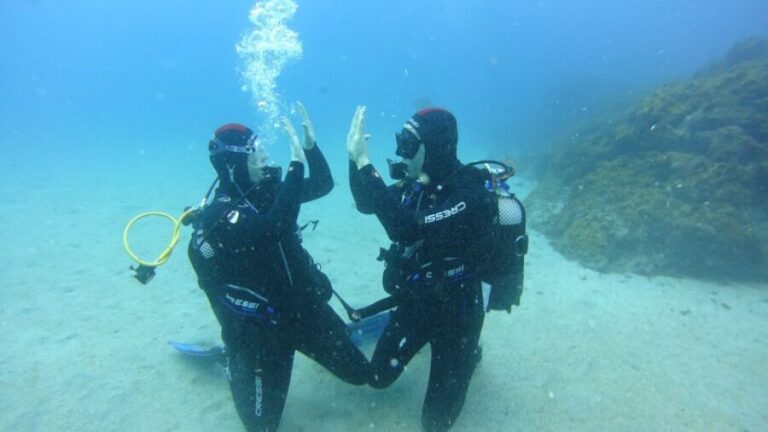 Tenerife: Discover Scuba Diving with Free Photos - A Closer Look at the Tenerife Discover Scuba Tour