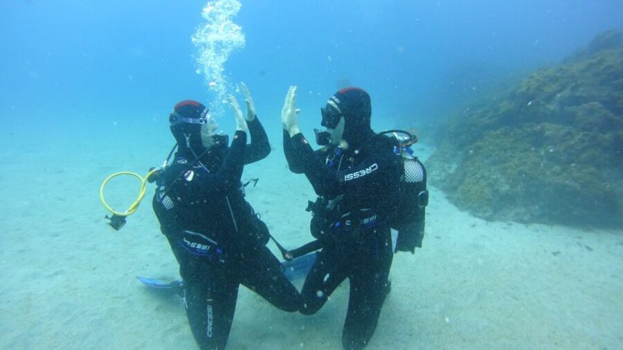 Tenerife: Discover Scuba Diving with Free Photos - A Closer Look at the Tenerife Discover Scuba Tour