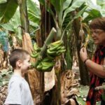 Tenerife: Finca Las Margaritas Banana Plantation Experience - The Experience From a Traveler’s Perspective