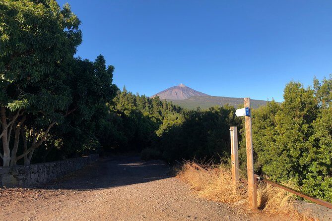 Tenerife Grand Tour: including Teide National Park and Masca - FAQ