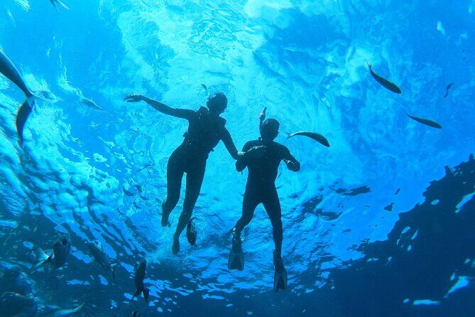 Tenerife: Guided kayak tour with snorkeling in a marine reserve - Authentic Experiences and Genuine Praise