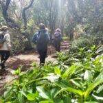 Tenerife: Guided tour guide in the Anaga Rural Park - Highlights of the Experience