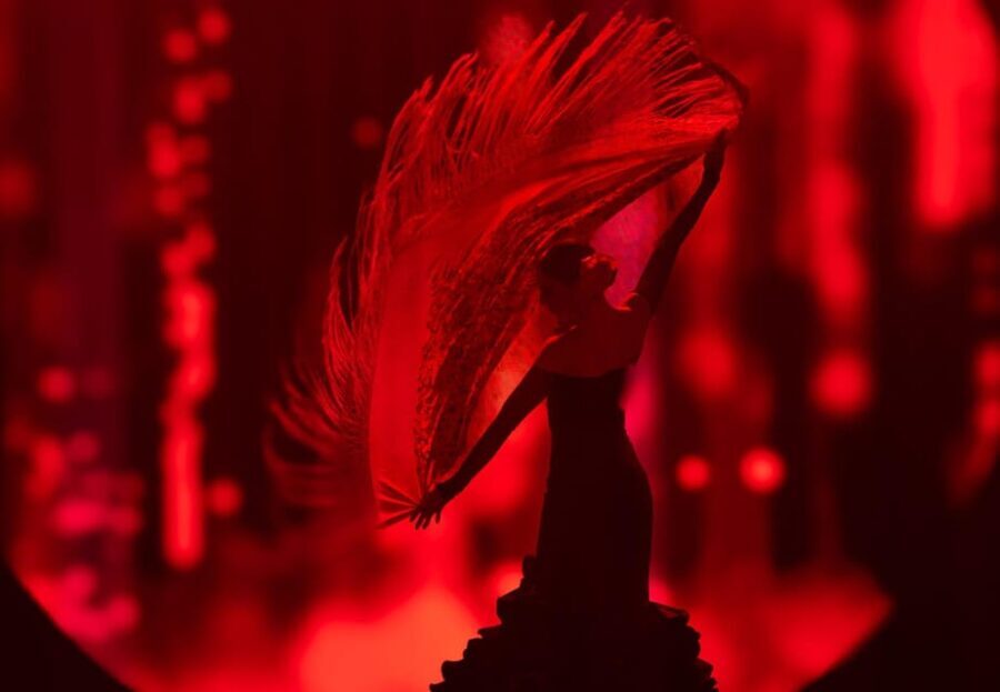 Tenerife: History The Evolution of Music Show Entry Ticket - The Pros and Cons