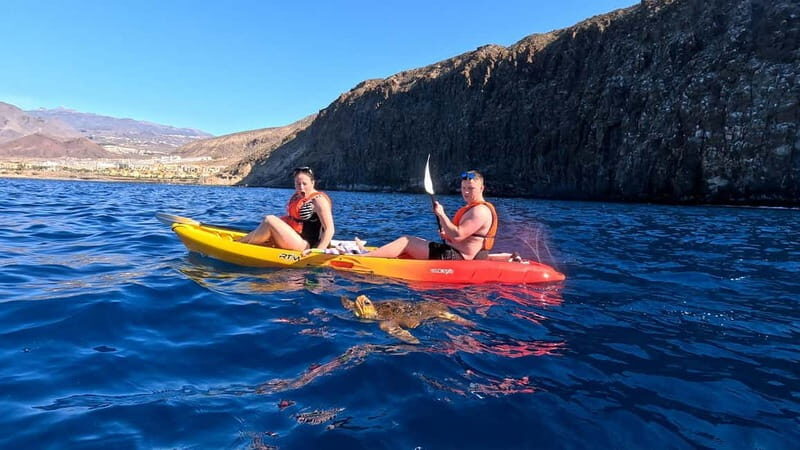 Tenerife: Kayak & Snorkeling Tour - Small Groups - A Detailed Look at the Experience