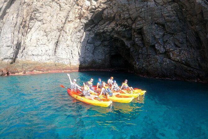 Tenerife: Kayaking and snorkeling, snacks, photos and marine life safari - Who Will Love This Tour