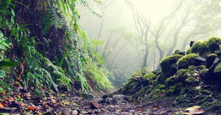 Tenerife: La Laguna & Anaga hike - Frequently Asked Questions