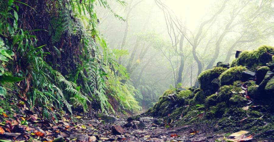 Tenerife: La Laguna & Anaga hike - Frequently Asked Questions