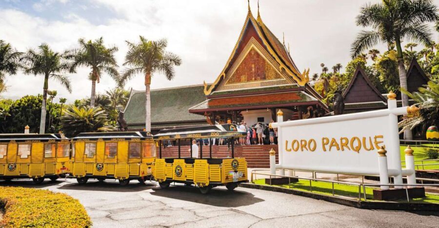 Tenerife: Loro Parque & Siam Park Entry Ticket with Transfer - A Balanced Look: Pros and Cons