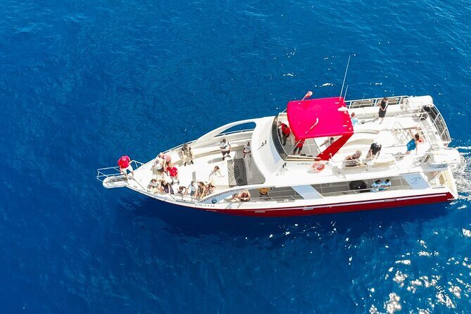 Tenerife Los Cristianos: Whale and Dolphin Eco-Yacht and Swim Stop - The Heart of the Experience: What You Can Expect
