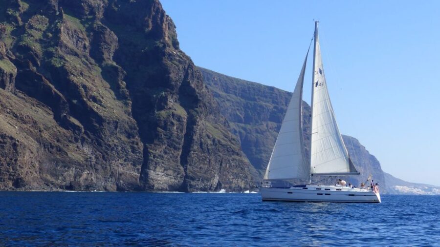 Tenerife: Los Gigantes Whale Watching Cruise by Sail Boat - The Value of This Experience