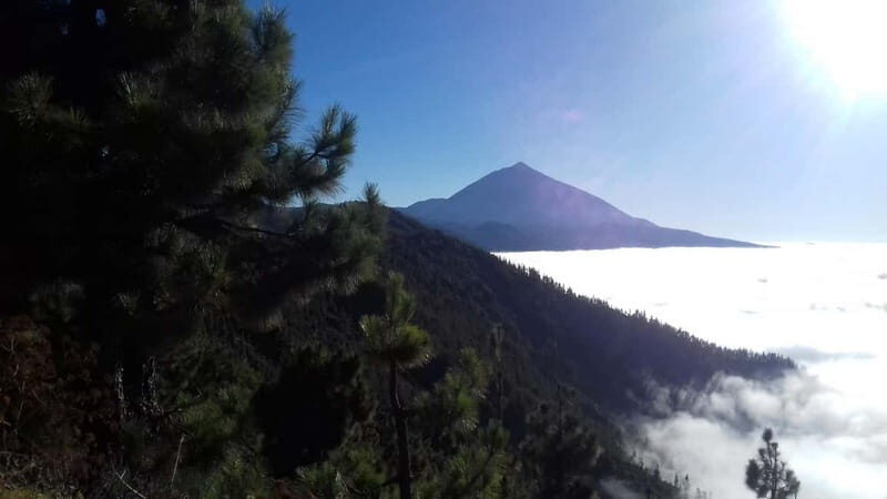 Tenerife: mindfulness experience for well-being - An In-Depth Look at the Tenerife Mindfulness Experience