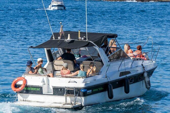 Tenerife Motor Boat Whale Watching & Snorkeling Experience - Who Will Love This Tour?