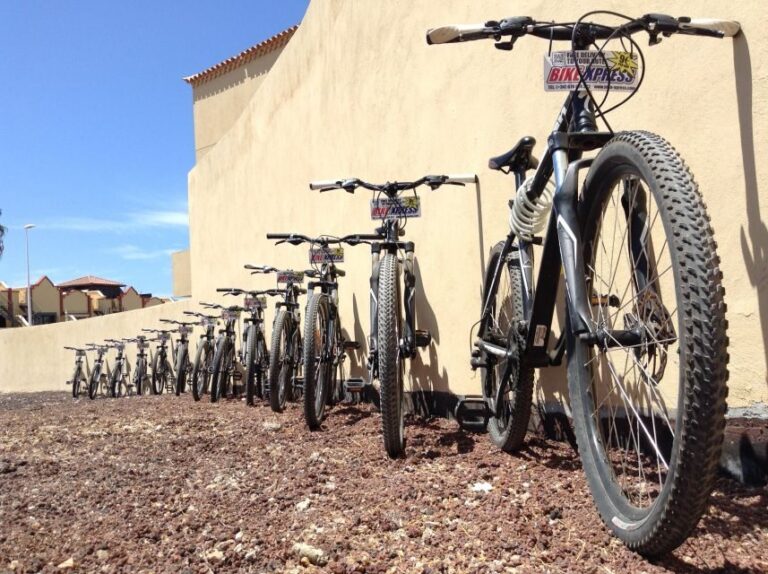 Tenerife: Mountain Bike Rental with Hotel Delivery - Detailed Look at the Itinerary and Experience