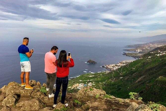 Tenerife North Private Tour: Through Villages and Ports - Who Is This Tour Best For?