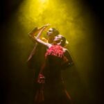 Tenerife : Olé Flamenco Show by Fran Chafino Ticket - Practical Details and How to Make the Most of It