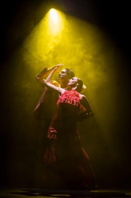 Tenerife : Olé Flamenco Show by Fran Chafino Ticket - Practical Details and How to Make the Most of It