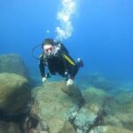 Tenerife: PADI Beginner Scuba Dive in the Turtle Area - Who Might Want to Look Elsewhere?