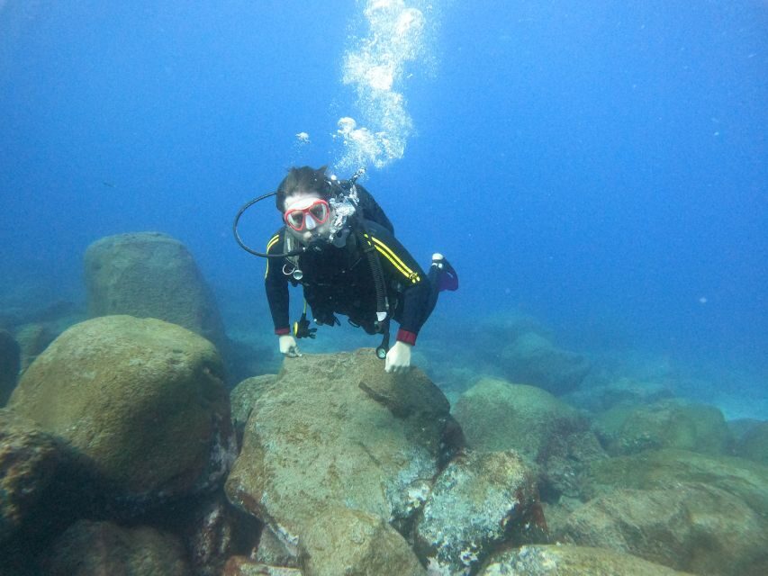 Tenerife: PADI Beginner Scuba Dive in the Turtle Area - Who Might Want to Look Elsewhere?