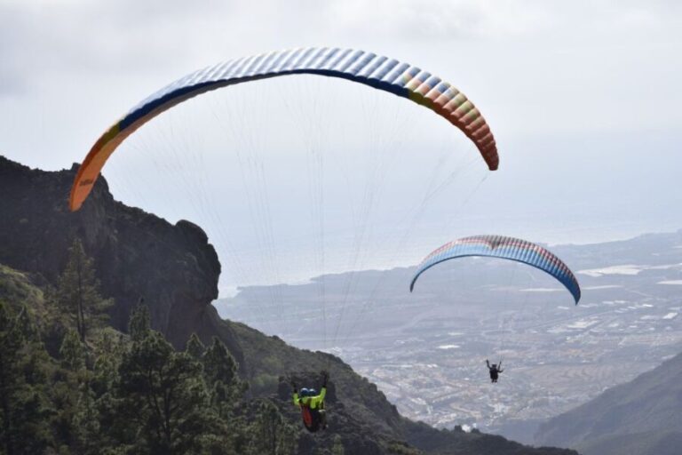Tenerife: Paragliding Flight - Who Should Consider This Tour?