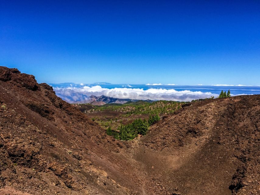 Tenerife Private Tour: Full-Day Volcanic South - Who Will Love This Tour?