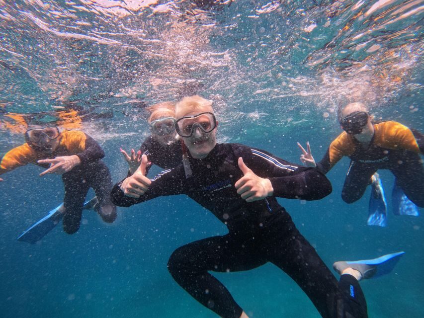 Tenerife: Puerto Colon Snorkel Safari by Speed Boat - The Details that Matter