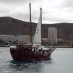 Tenerife: Respectful Whale Watching Pirate Cruise + Swim - Key Points