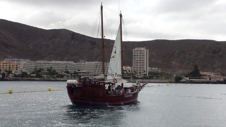 Tenerife: Respectful Whale Watching Pirate Cruise + Swim - Key Points