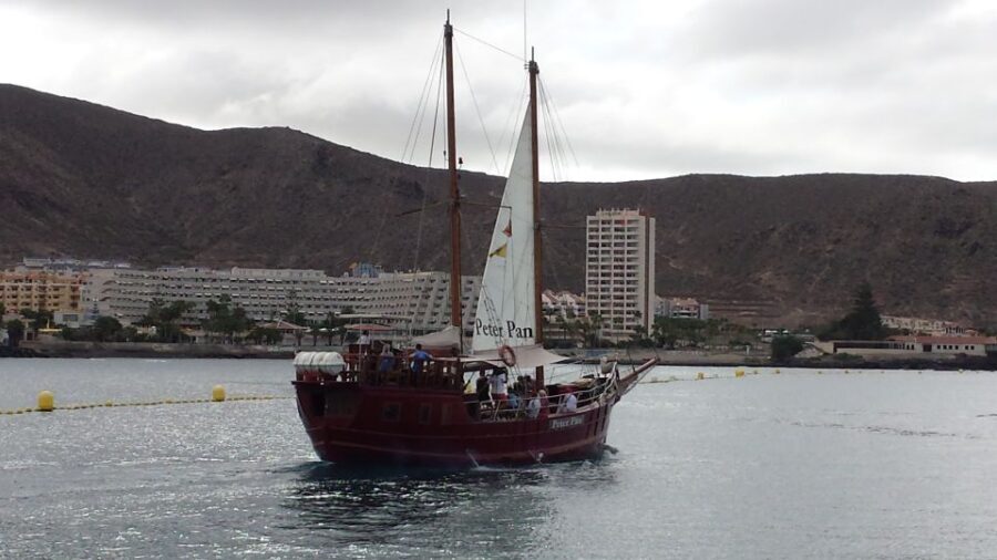 Tenerife: Respectful Whale Watching Pirate Cruise + Swim - Key Points